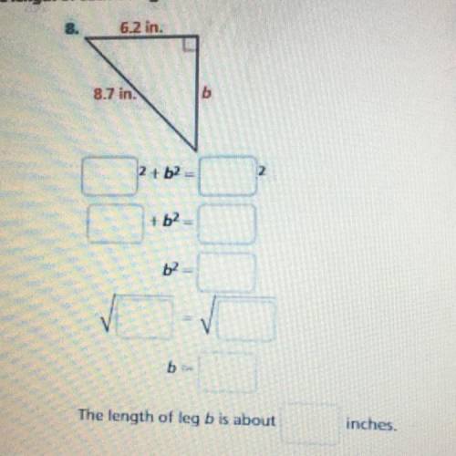 Pls help for math i need help