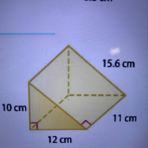 Find the surface area of the triangular prism. 15.6 cm 10 cm 11 cm 12 cm