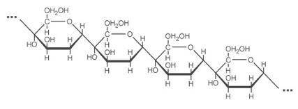 The diagram below shows a portion of an amylose molecule: (refer to attached image) Amylose is a for