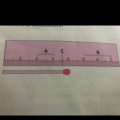 Which letter in figure below marks 1 millimeter