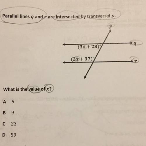 Please Help. What is the Answer to this one.