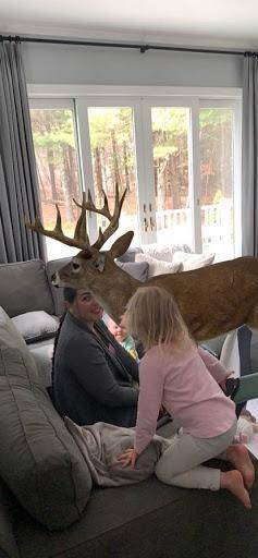 Who can spot my little brother and who can tell me if the reindeer is real? Winner will get brainlie