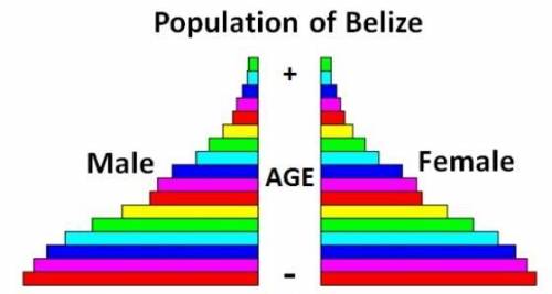 HELP ITS TIMED ASAPThe population pyramid above shows the population of Belize. Which of the followi