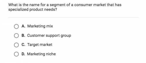 What is the name for a segment of a consumer market that has specialized product needs?