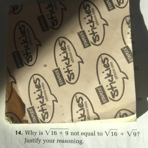 Why are they not equal? Please explain!!