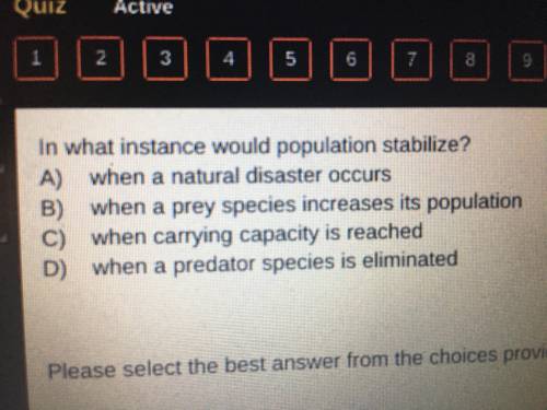 In what instance would population stabilize?