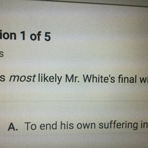 What most likely Mr.white’s final wish?