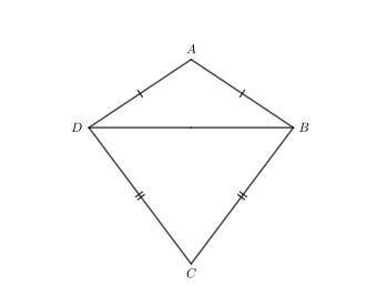 Amanda wants to fly a kite. The kite is composed of two isosceles triangles, ΔABD and ΔBCD. The heig
