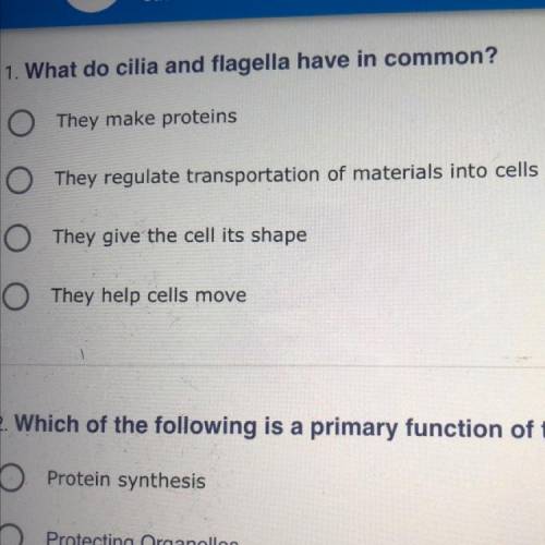 What do cilia and flagella have in common?