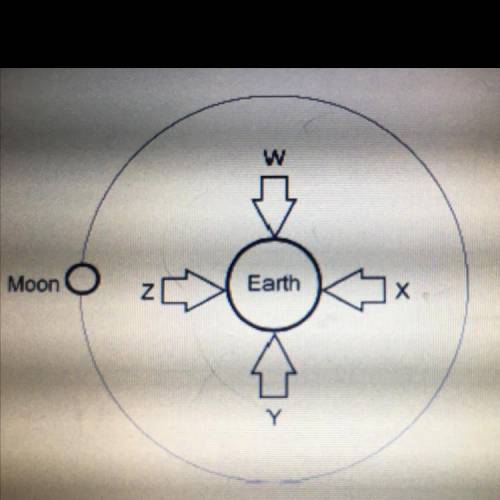 A diagram of the Moon and Earth system is provided. At which points in the diagram would the lowest