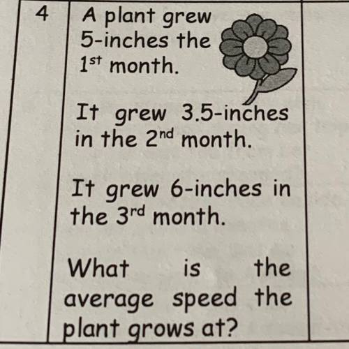 What is the average speed the plant grows at?