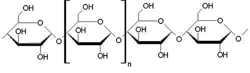 In the molecule pictured above, the section in brackets is which of the following, and why?  Monosac