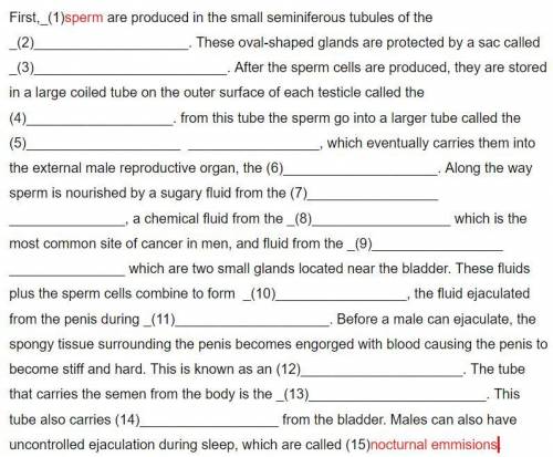 Cowper’s gland, semen, epididymis, seminal vesicle erection, sperm nocturnal emissions, testes orgas