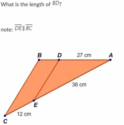 Will reward brainliest!! See attachment for image What is the length of BD? A. 7cm B. 9cm C. 10cm D.