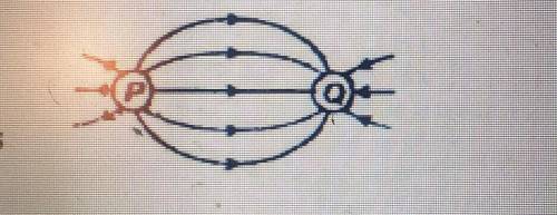 The diagram shows the electric field lines between two electrical charges P and Q. Which of the foll