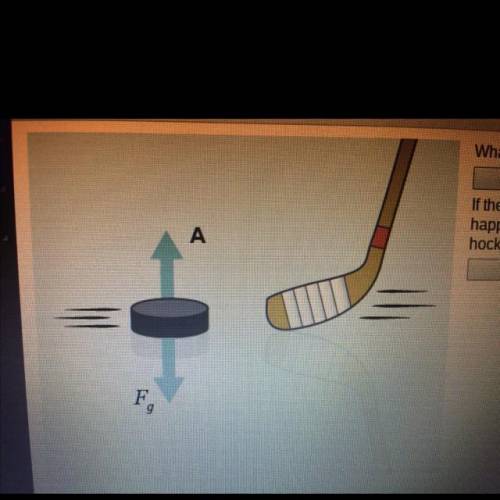 What force is represented by vector A A: friction B: gravity C: normal force  D:push If the hockey p