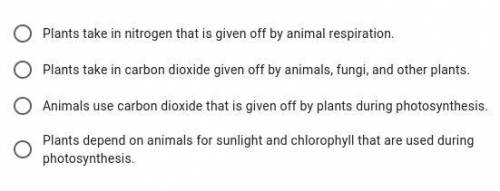 Which of the following is correct about how plants relate to animals in the Earth’s system