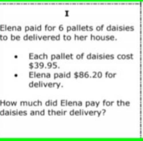 How much did Elena pay for the daisies and their delivery