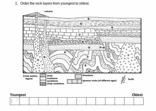 In the space provided below, explain (in paragraph format) how you know the order of the rock layers