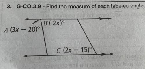 Find the measure of each labeled angle.