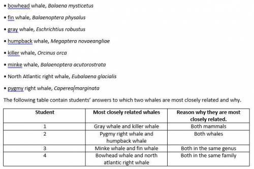Students researched the following eight whales and how they were classified (see list below). Based