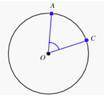 The circle below has a center O, and A and C are points on the circle. Use this circle to answer que