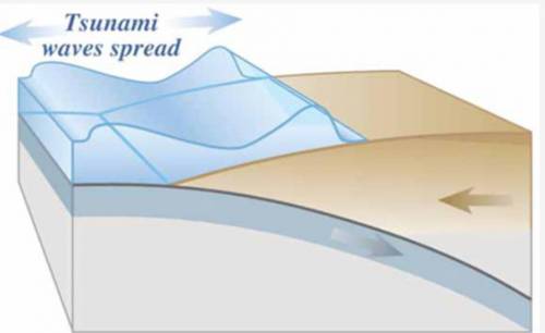 The following image represents the movement of a tsunami, a giant wave produced by an earthquake at