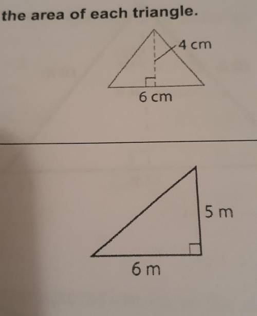 Find the area of each triangle.4 cm6 cm