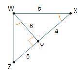 Triangle Z W X is shown. Angle Z W X is a right angle. An altitude is drawn from point W to point Y
