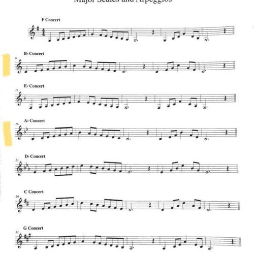 Can someone please play the highlighted parts on clarinet and send it as an audio file? Please email