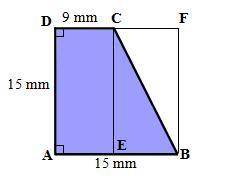 Find the area of the following shapes: