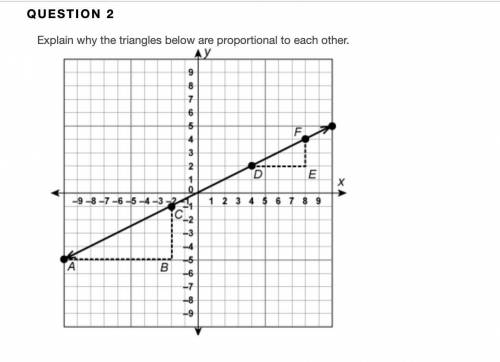 QUESTION 2 Explain why the triangles below are proportional to each other.