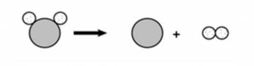 What type of reaction does this illustration represent? (image attached) A. Decomposition B. Synthes
