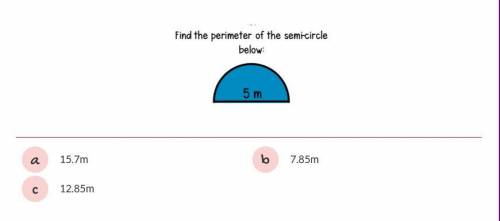 I need help with this geometry problem. find the perimeter of the semi-circle