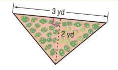 A flower bed in a parking lot is shaped like a triangle as shown.a. Find the area of the flower bed
