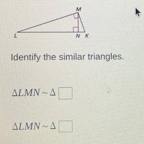 Identify the similar triangles.