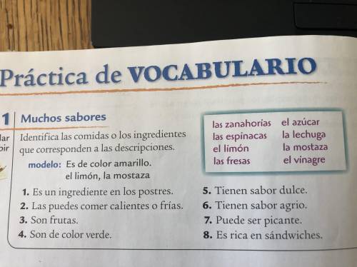 Answer these following Spanish Questions Please