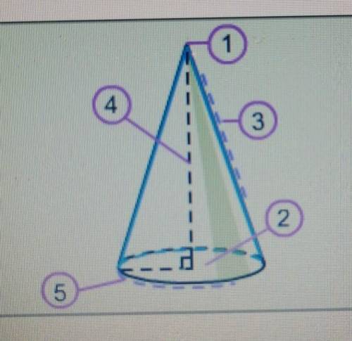 Which number identifies the slant height of the cone?