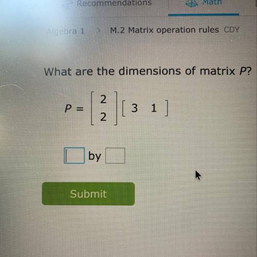 What are the dimensions of matrix P?