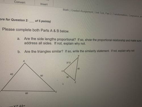 Are they proportional  Plus are they similar? explanation needed