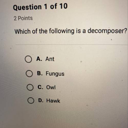 Which of the following is a decomposer?