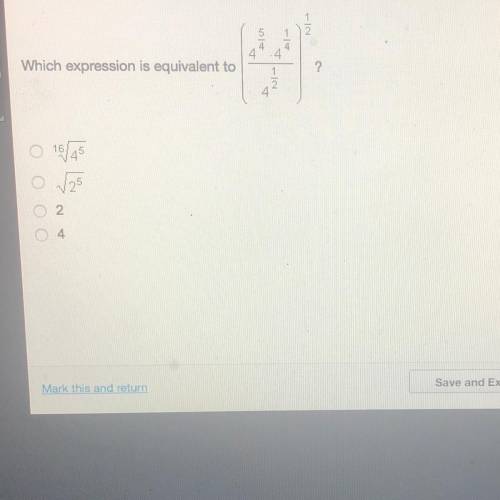 Help me with this question plz