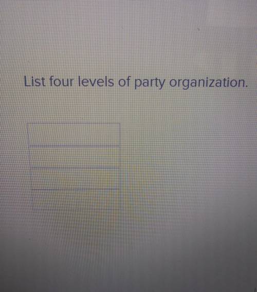 List four levels of party organization.