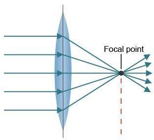 A convex lens focuses light to a single focal point. What wave behavior is responsible for the light