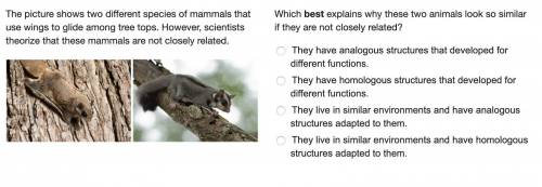 (please see attached photo.) Which best explains why these two animals look so similar if they are n
