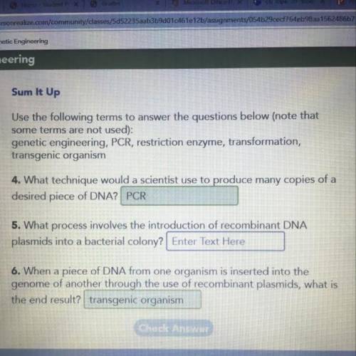 What process involves the introduction of recombinant DNA plasmids into a bacterial colony? Plsss he