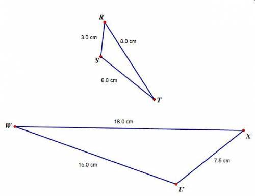 Mikel is determining if the two triangles below could be similar based on their side lengths. Which