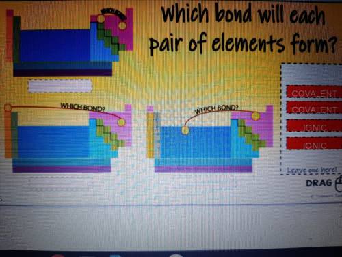 Which bond will each pair of elements form?