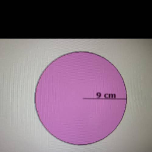 The circle above has a radius of 9 cm what is the area of the circle? pi equals 3.14