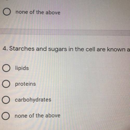 What are starches and sugars in the cell known as?